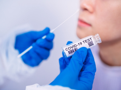 Заболеваемость COVID-19 в Новороссийске снова идет на рекорд 