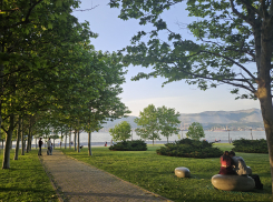 Гороскоп от «Блокнота»: львам быть внимательнее к чувствам, а близнецам набраться терпения