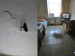 В реальности потолки рушатся, по документам – нет: злоключения новороссийцев продолжаются