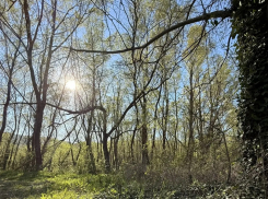 Выходные спасут лето: температура на Кубани поднимется до 23 градусов в субботу