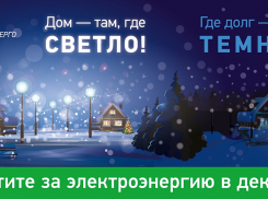«ТНС энерго Кубань»: старый долг – Новый год не красит