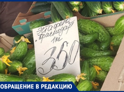 Килограмм кубанских огурцов дороже свинины: новороссийцы в шоке от цен на овощи