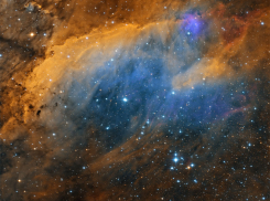 Гороскоп от “Блокнота” на 12 января — найдите баланс между работой и отдыхом