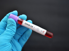 Снова пусто: в Новороссийске нет заражённых COVID-19