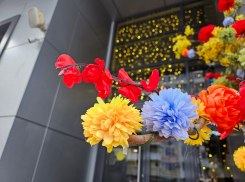 Гороскоп от «Блокнота»: Ракам проснуться пораньше, а Львам быть помягче с близкими