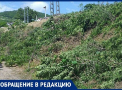 «Бросят спичку, будет беда», - в Восточном районе Новороссийска сохнут спиленные ветви