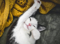 Сколько новороссийцы будут отдыхать в наступившем 2021 году