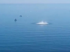 Бомбы взорвали прямо в море Новороссийска