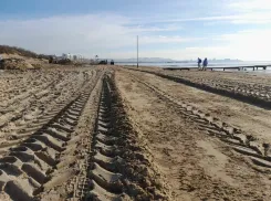 Роспотребнадзор: откроются ли пляжи Анапы этим летом 