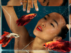 Гороскоп на 3 апреля: Рыбы с головой погрузятся в творчество