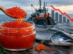 Красной икры в России стало почти в три раза меньше