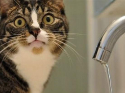 В первый день весны новороссийцев ждёт отключение света и воды