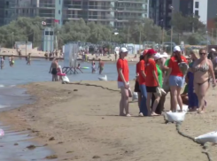 «А потом они скажут, что «заработали» рак в Анапе»: ученые о туристах, купающихся на «запрещенных» пляжах края