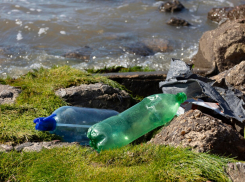 Три вида упаковки исчезнут с полок магазинов Новороссийска: новый запрет в России 