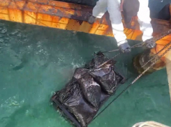 Можно ли купаться в море Анапы: со дна достали почти 300 мешков с мазутом 