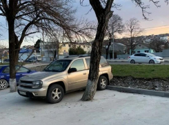 У новороссийцев забрали зеленую зону и залили деревья бетоном 