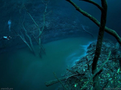 Календарь: 1 августа – день подводной реки в Черном море