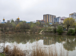 Южные пруды расчистили: новороссийцы предлагают оставить их «в покое»