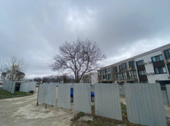 Забор и точка: новороссийцы не знают, будет ли у них мусорка, парковка и остановка