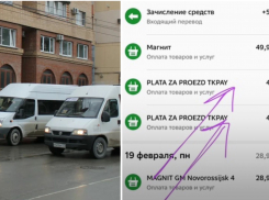 Новороссийская школьница проехалась на маршрутке за двойную цену: как вернуть деньги 