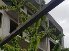 Разрешения нет, строительство – идёт: на Сливина, 5 в Новороссийске снова неспокойно