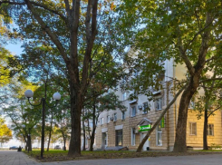 Дежурный по городу: что произошло в Новороссийске за сутки 20 октября