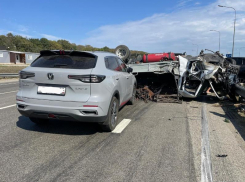 Три участника ДТП на трассе Новороссийск-Краснодар госпитализированы, один погиб