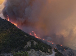 Возможна эвакуация населения: площадь лесного пожара в Новороссийске продолжает расти