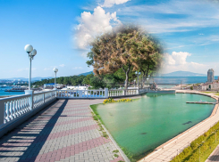 Набережные Новороссийска и Геленджика могут быть объединены