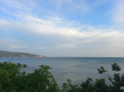 Неспокойная ночь: над Черным морем сбивали беспилотники 