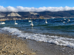 Гороскоп от «Блокнота»: Рыбы – проявите эмпатию, Девы – ведите за собой