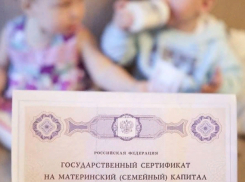Новороссийцы смогут получить на руки остаток маткапитала: Минтруд 