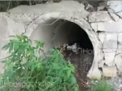 Озеро Абрау пополняется канализационными стоками