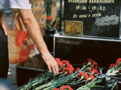 В Новороссийске восстановили заброшенную могилу летчика - Героя СССР