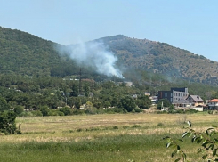 Пока одни жители Геленджика жгут провода в лесу, другие тушат после них пожары
