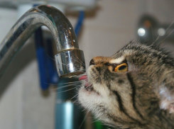 В среду почти 27 000 новороссийцев останутся без воды