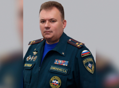 Замглавы ГУ МЧС по Кубани заключен под стражу в Москве