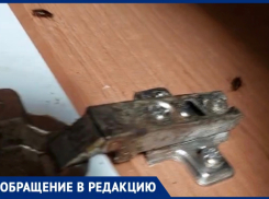 За 35 тысяч рублей жительница Новороссийска заселилась в «тараканник»