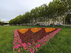 Погода в Новороссийске: с каждым днём становится теплее 