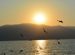 В четверг в Новороссийске выглянет солнце