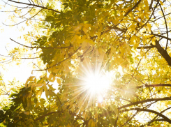 Погода в Новороссийске: возвращается экстремальная жара