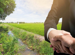  Что на Кубани позволит решить проблему с выделением земельных участков многодетным семьям?