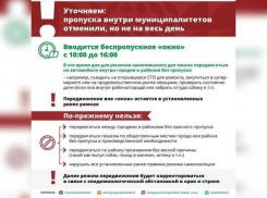 Пропуска в Новороссийске отменили, но не совсем