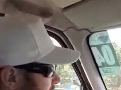 Житель Новороссийска узнал о том, какие автомобили предпочитают индийцы