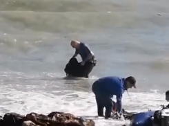 Новороссиец спас утопающую: герой всё ещё не найден   