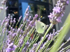 Погода в Новороссийске 14 мая: днём тепло, а ночью холодно 