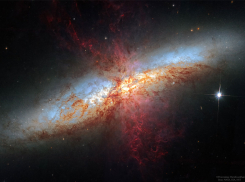 Гороскоп от “Блокнота” на 28 апреля: знакам стоит провести время с близкими