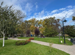 «Зеленый каркас»: Новороссийск меняет городскую среду