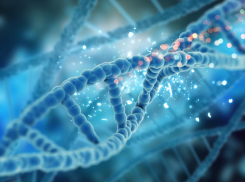 Вячеслав Володин поинтересовался мнением россиян о необходимости генетического теста для будущих родителей