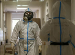 Шокирующая статистика: в Новороссийске COVID-19 заразилось почти 1,5 тысячи человек